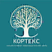 Кортекс