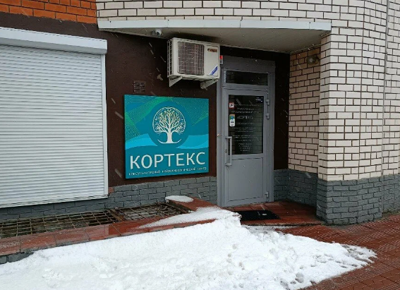 Кортекс